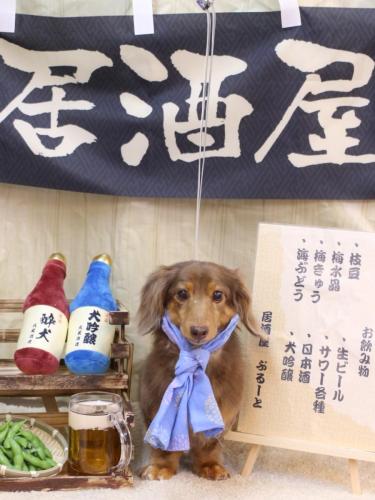 20240616モカくん